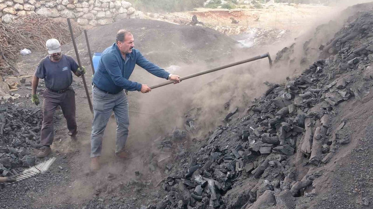 Toros eteklerinde meşe kömürü: Silifke'de nesilden nesile süren zorlu mesai