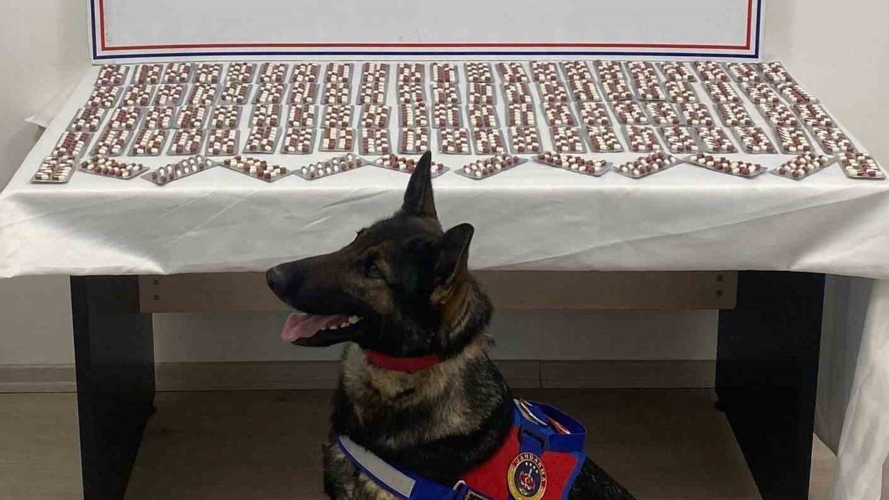 Tosya'da bin 344 sentetik ecza hapıyla yakalanan şüpheli tutuklandı