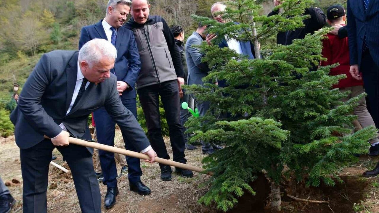 Trabzon'da şehitler anısına fidan dikildi