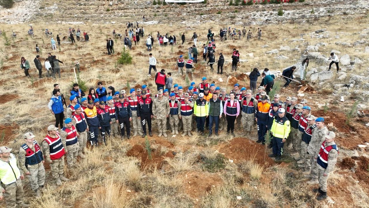 Tunceli'de 3 bin fidan toprakla buluştu