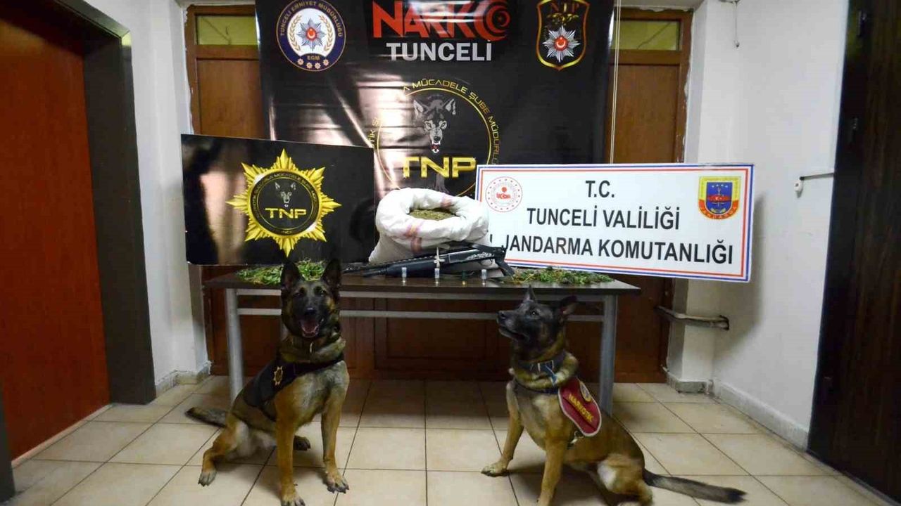 Tunceli merkezli 3 ilde uyuşturucu operasyonunda 23 kilo esrar ele geçirildi