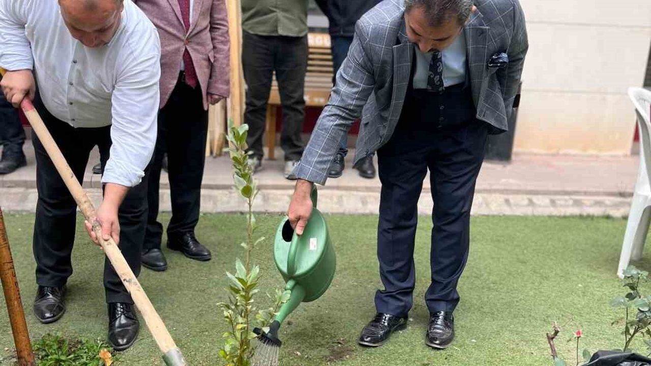 Turgutlu Adliyesi'nde defne ve begonvil fidanları dikildi