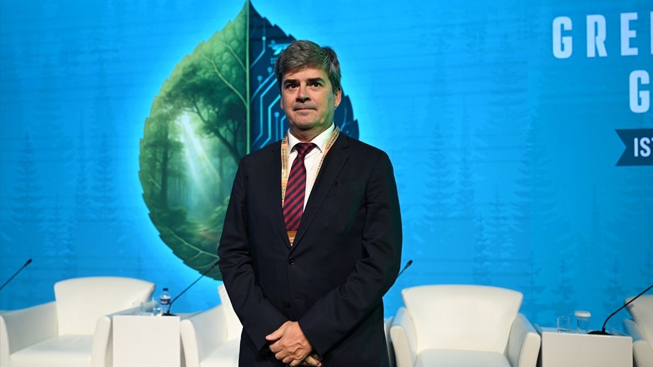 Türkiye'nin Orman Yangınlarıyla Mücadele Çalışmalarına Uluslararası Övgü