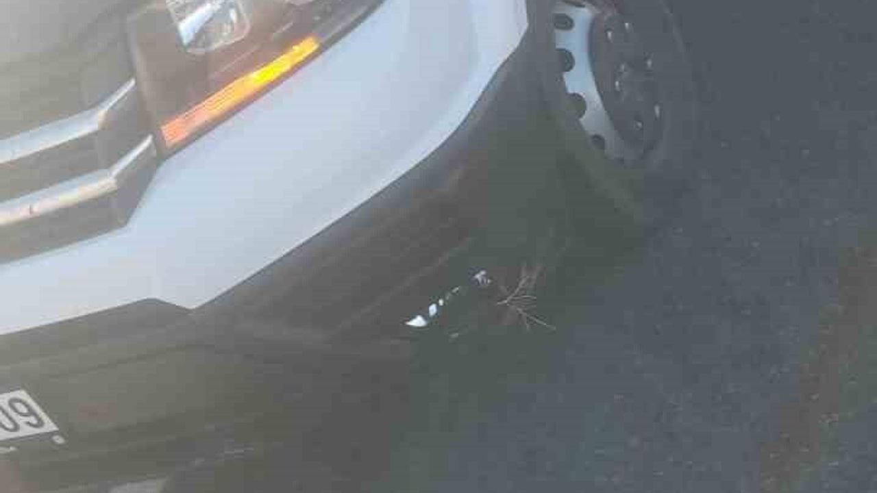 Tutak’ta Trafik Kazası: Köşk Köy Mevkisinde Lastik Patlaması — Biri Ağır, 3 Yaralı