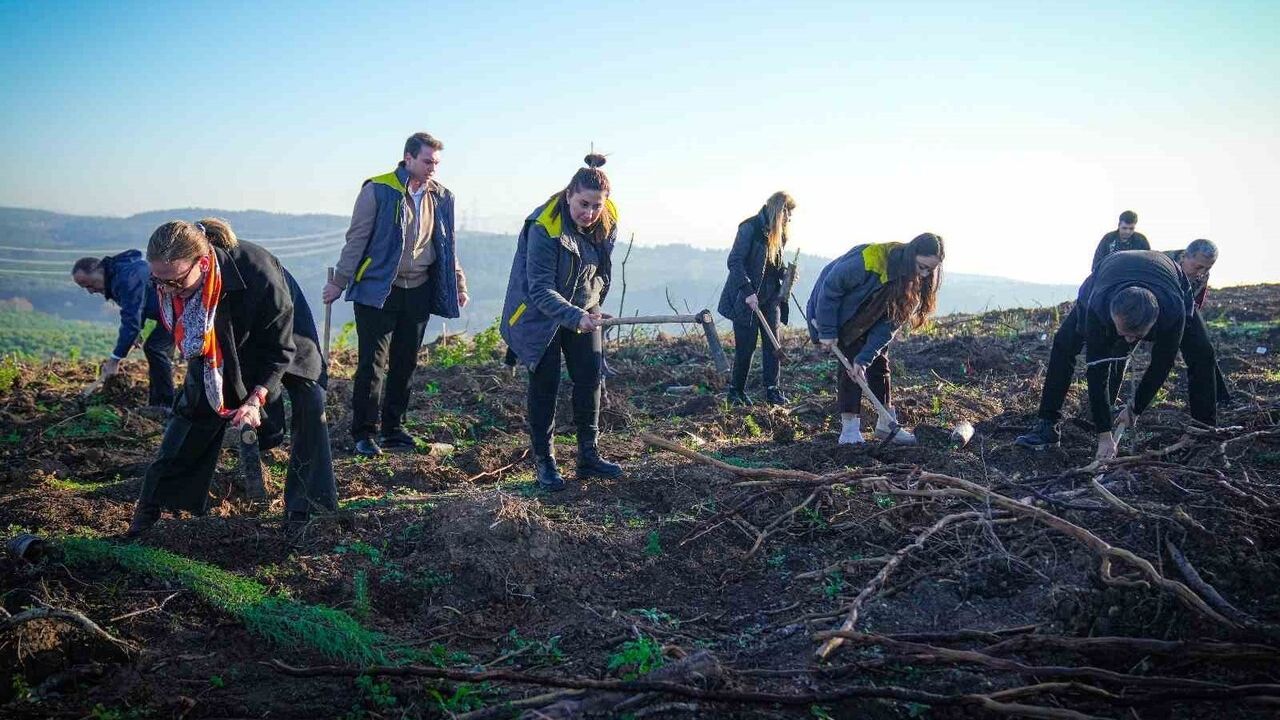 Uludağ İçecek Türk, Mudanya'da İki Hatıra Ormanı Kurdu