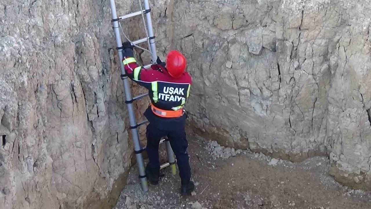 Uşak'ta 4 metre derinliğindeki çukura düşen keçi itfaiye tarafından kurtarıldı
