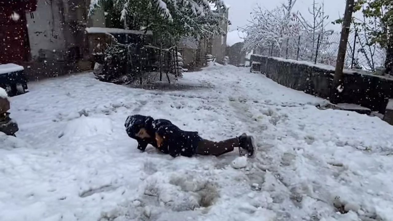Van-Bahçesaray'da Kar Yağışı ve Ulaşım Zorluğu