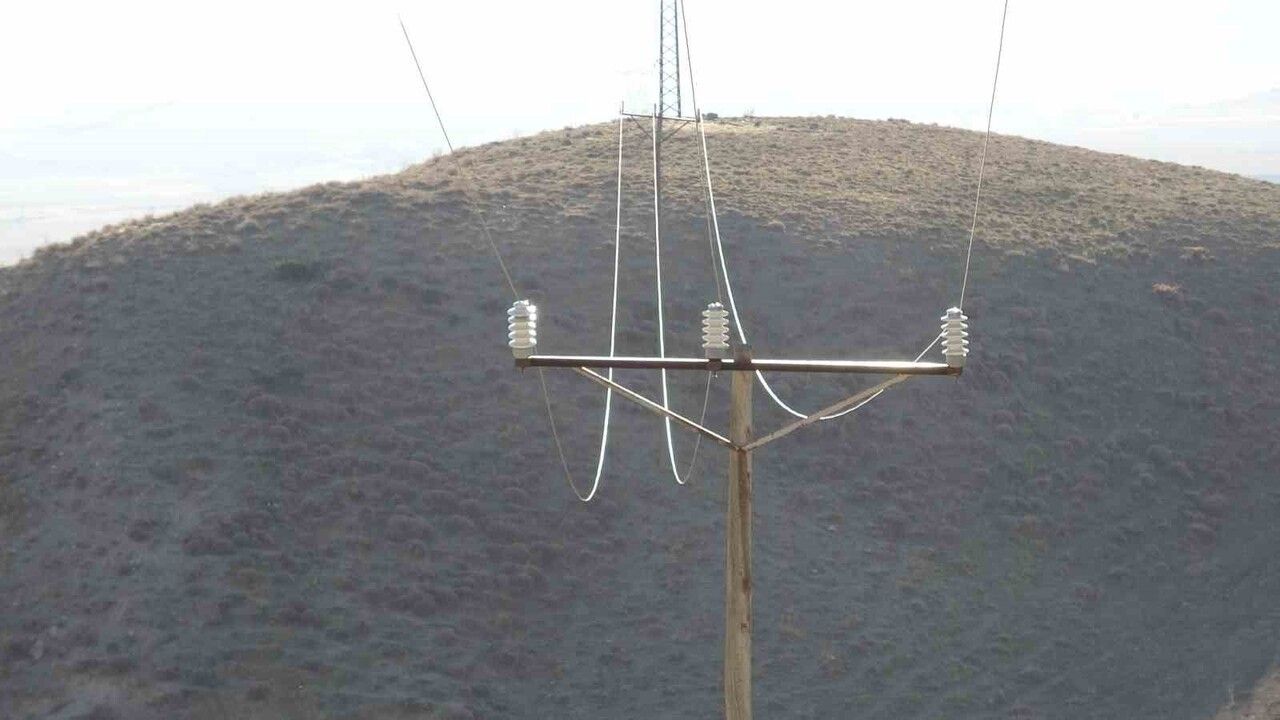 Van'da düşen enerji hattı yaban hayvanlarını telef etti