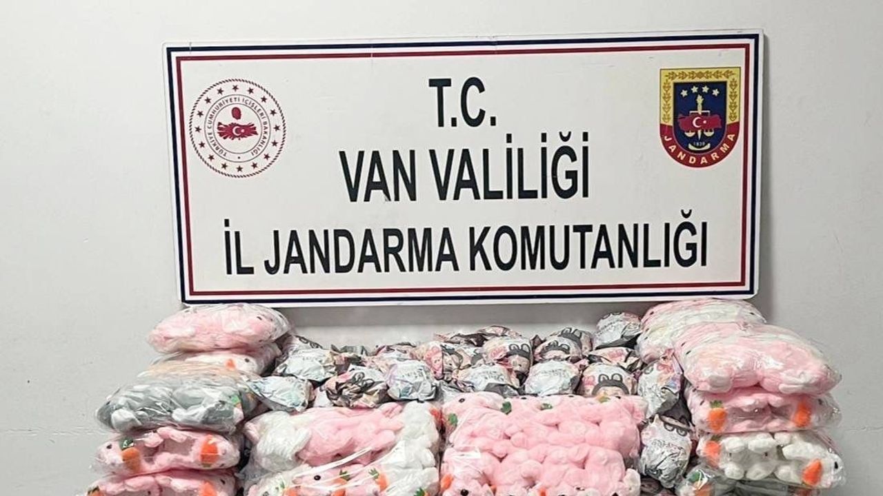 Van'da jandarmadan operasyon: 1.868 paket kaçak sigara ve 244 parça eşya ele geçirildi