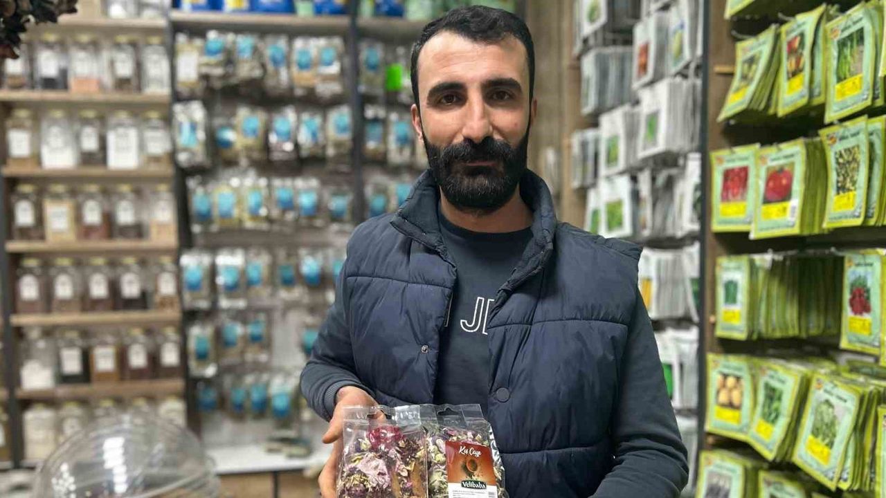 Van'da Kışın Bağışıklık İçin Bitkisel Çaylara Talep Artıyor