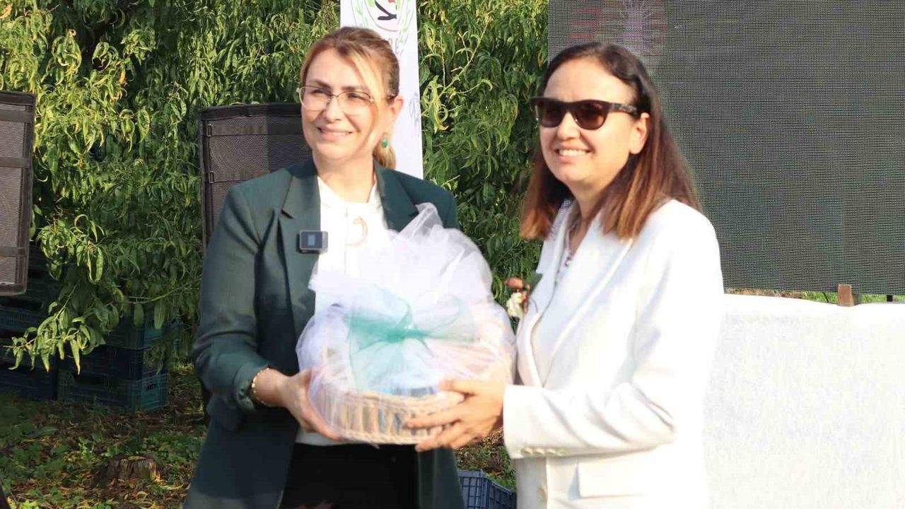 Yalova'da coğrafi işaretli kivi hasadı törenle başladı