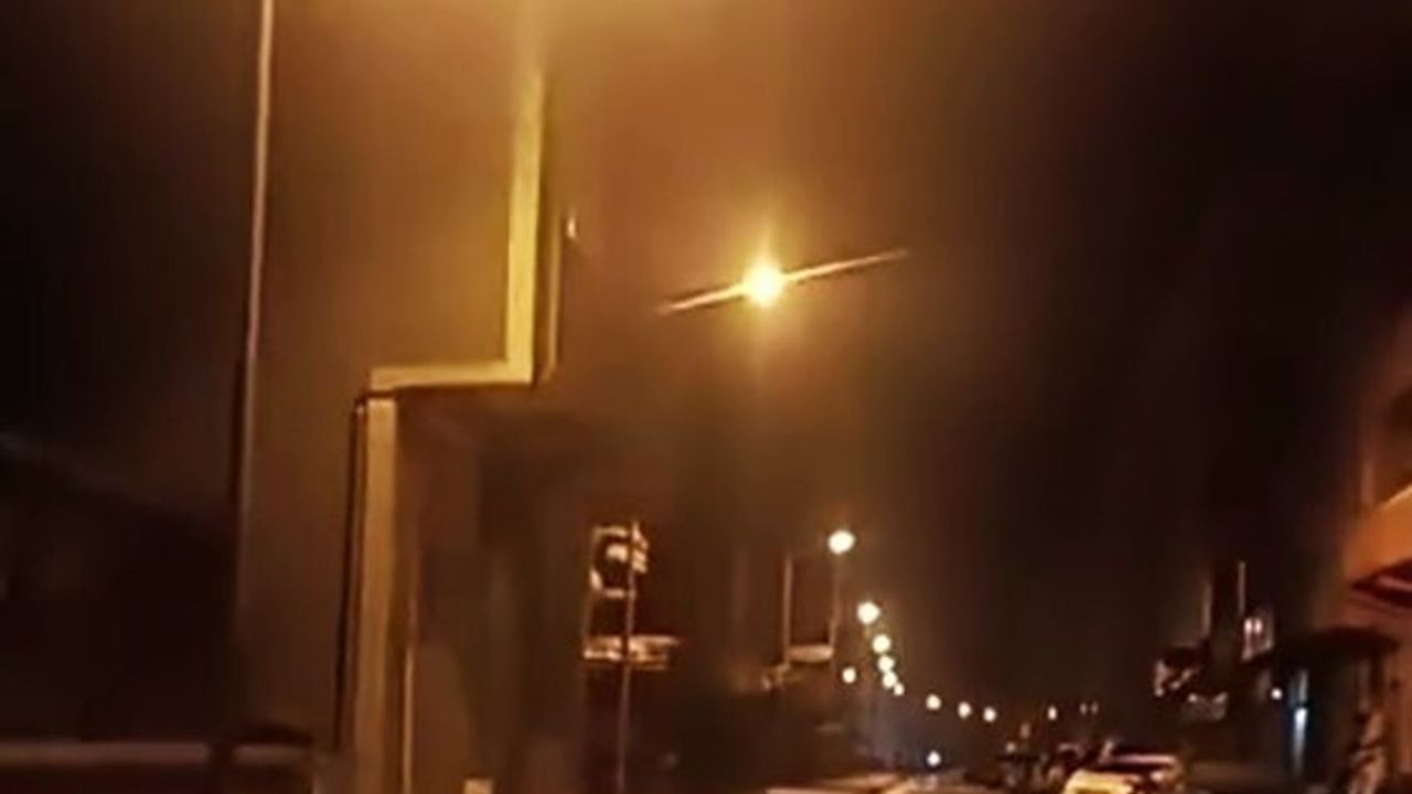 Yenice'de anne ayı ve iki yavrusu ilçe merkezinde görüldü