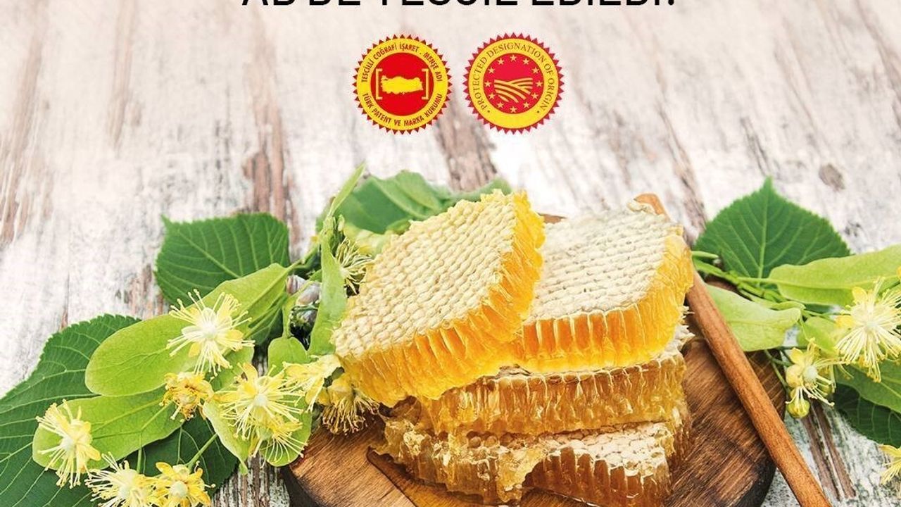Yenice ıhlamur balı AB'de tescillendi — 43. coğrafi işaretimiz