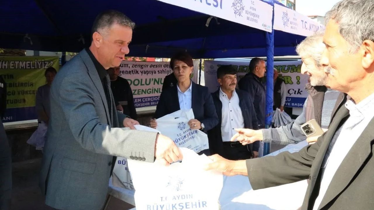 Yenipazar’da Ata Tohumu Kışlık Sebze Fideleri Dağıtıldı