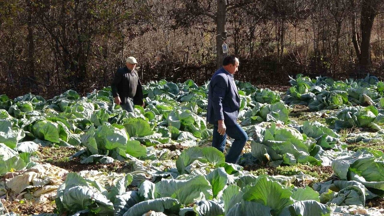 Yozgat'ta kardeşler 60 yıldır ayrılmıyor