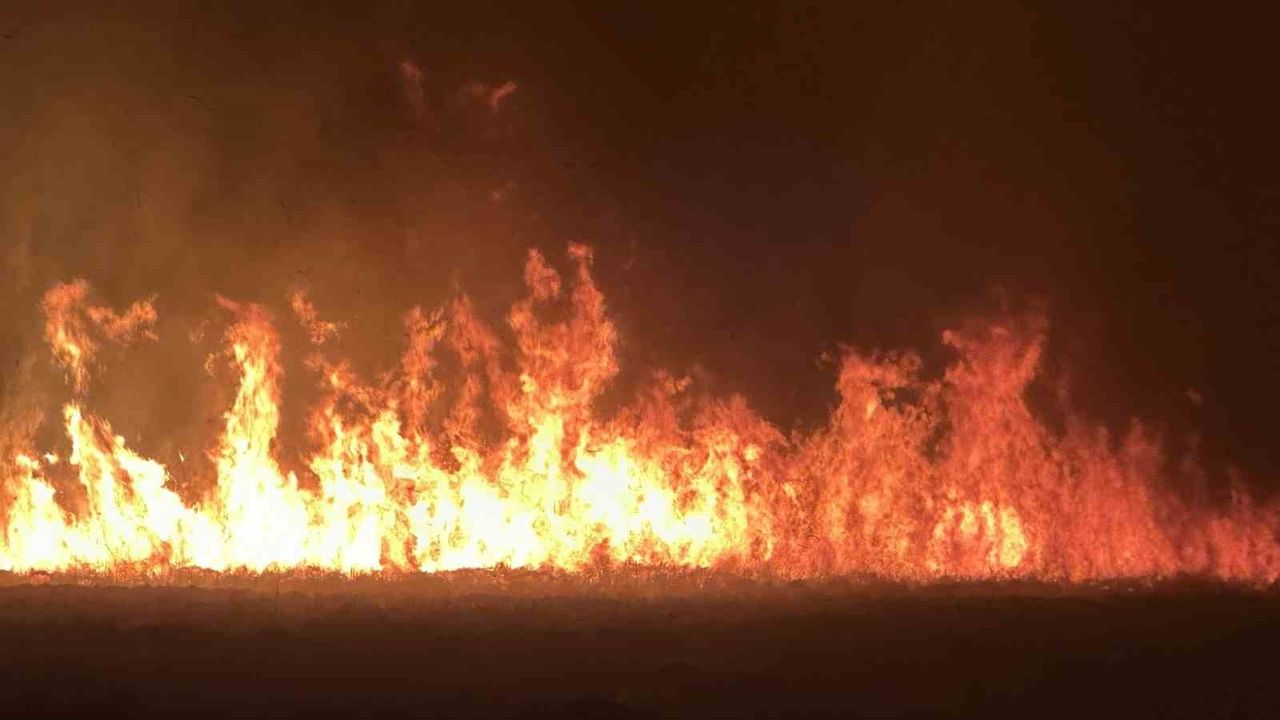 Yüksekova'da Nehil Sazlığı yangını yerleşimleri tehdit ediyor