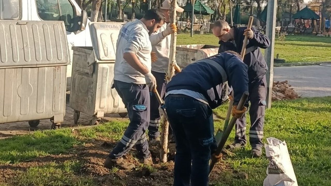 Yunusemre Belediyesi'nin ağaçlandırma çalışmaları sürüyor
