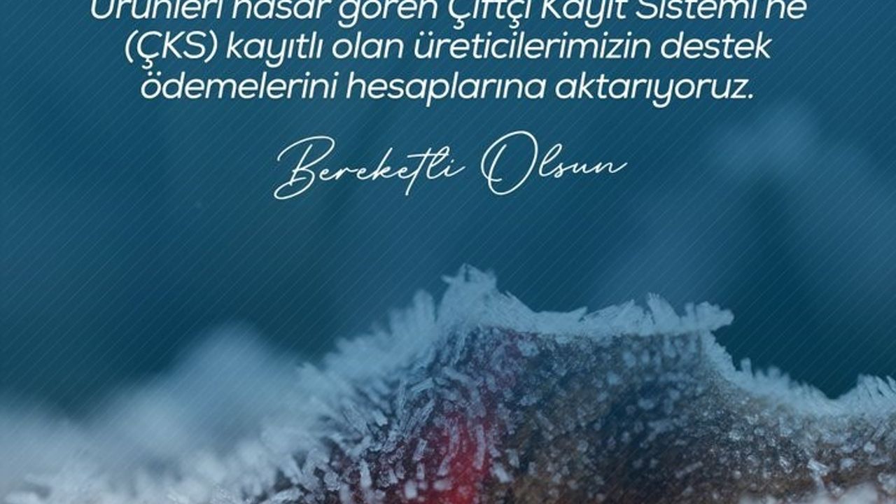 Zirai don desteği: Çiftçilere 798 milyon lira ödendi