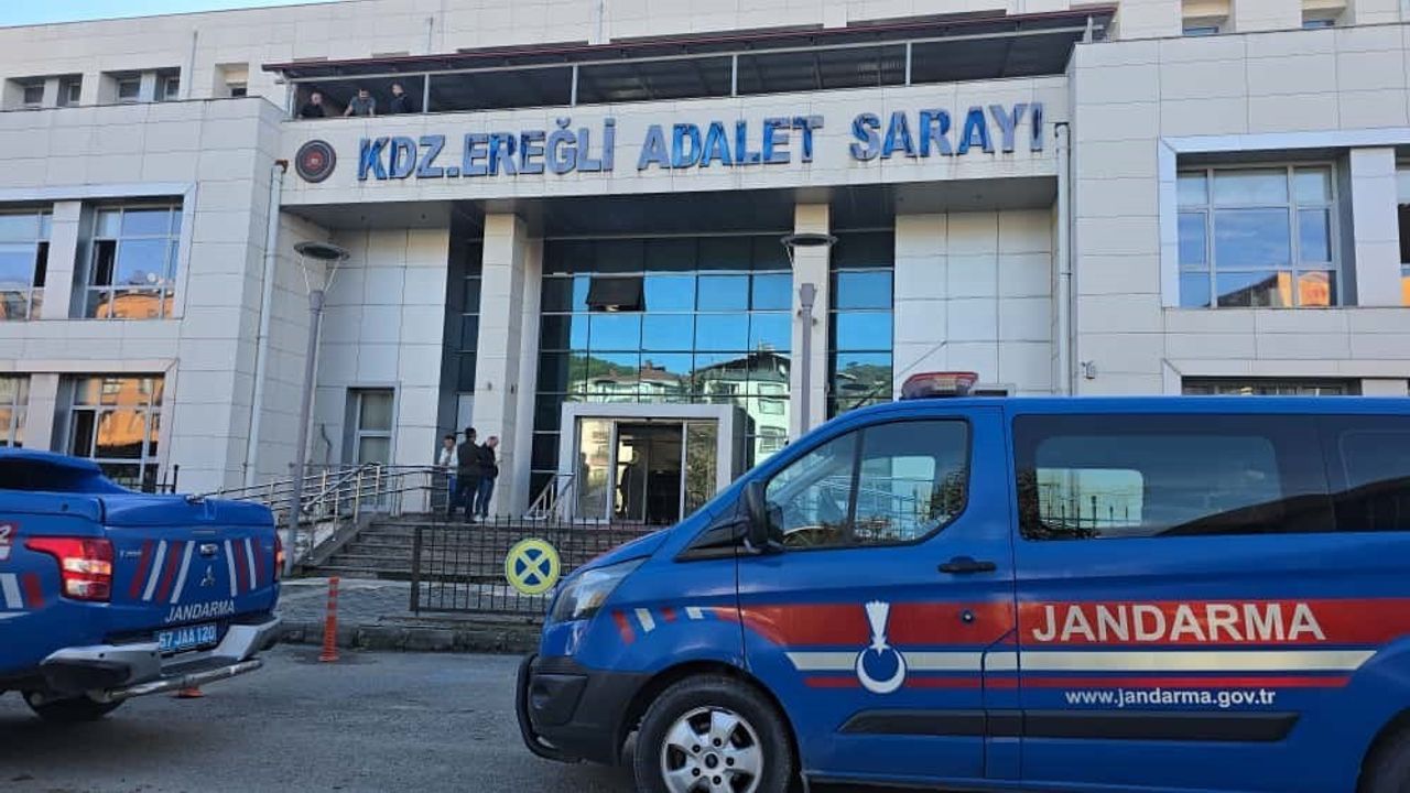 Zonguldak Ormanlı'da silah kaçakçılığı operasyonu: 15 gözaltı