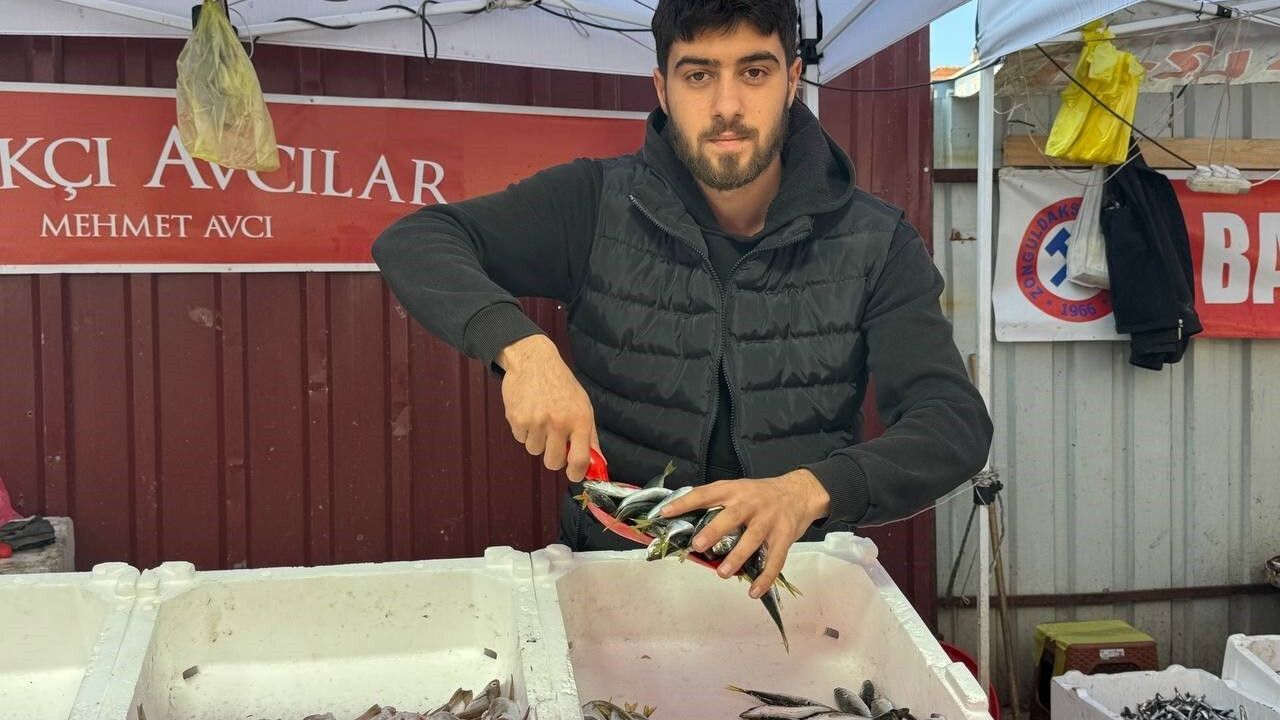 Zonguldak’ta hamsi azalıyor, tezgahlar farklı balıklarla zenginleşiyor