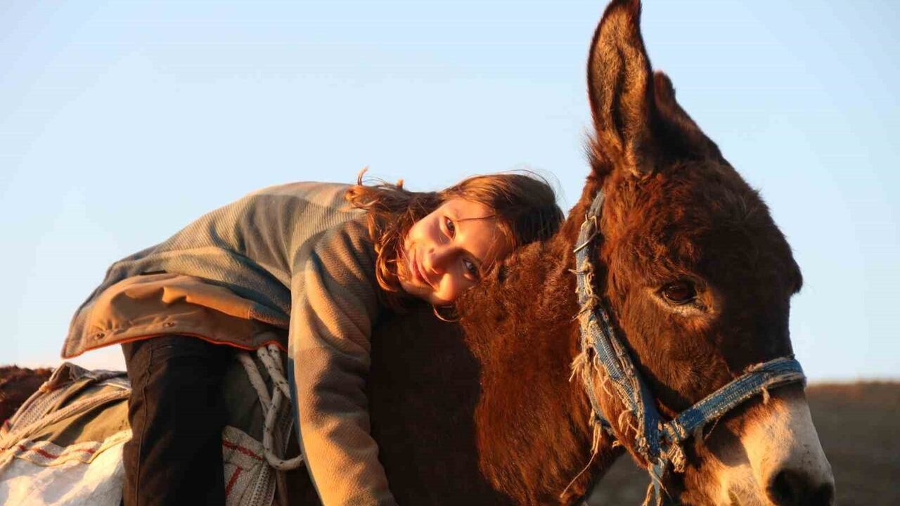 9 yaşındaki Ayşe Yaren babasının izinden gidiyor: Eşeğe binip koyun güdüyor