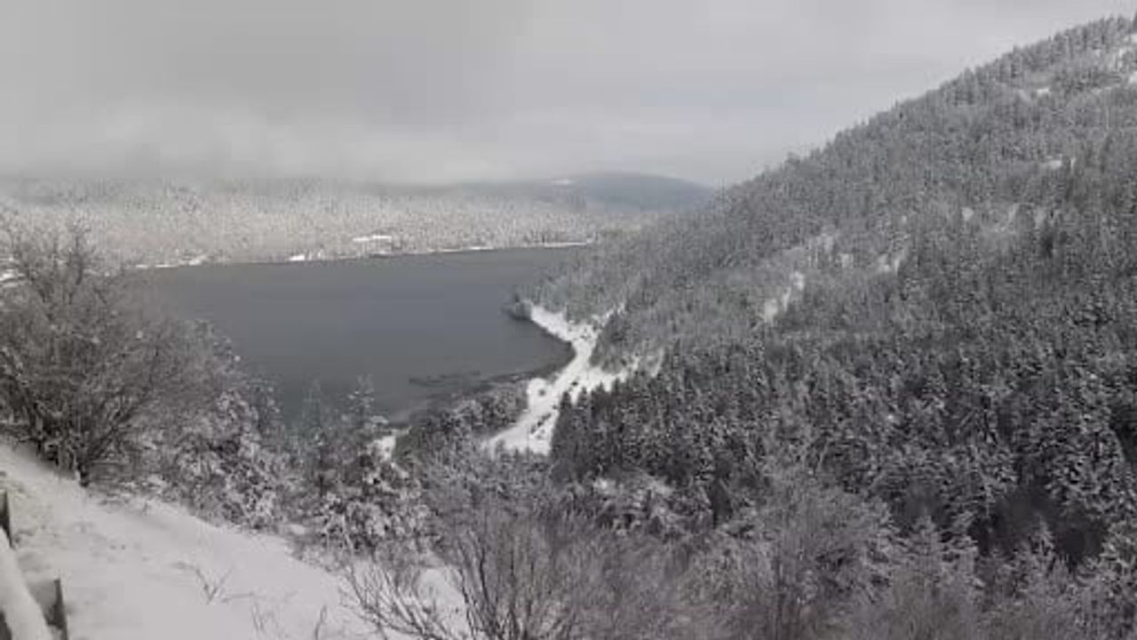 Abant Gölü Milli Parkı beyaza büründü: Kış lastiği olmayan sürücüler yolda kaldı
