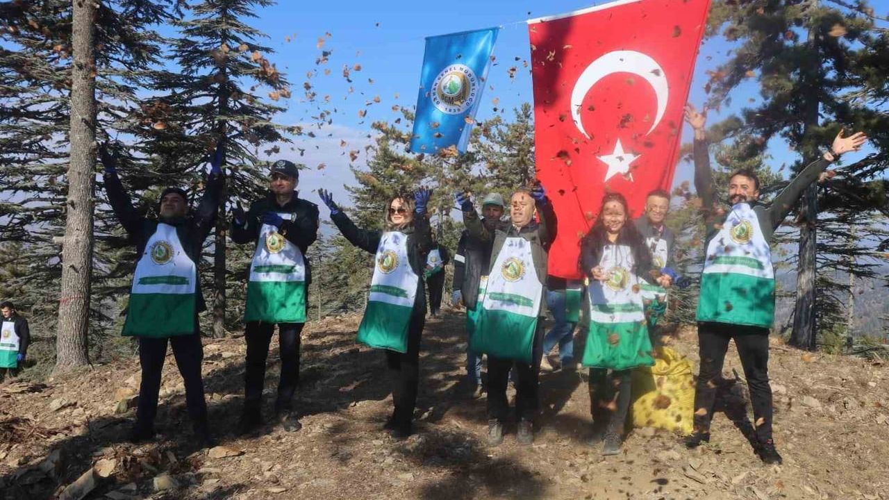 Adana'da 50 ton sedir tohumu doğal gençleştirme için toprağa verildi
