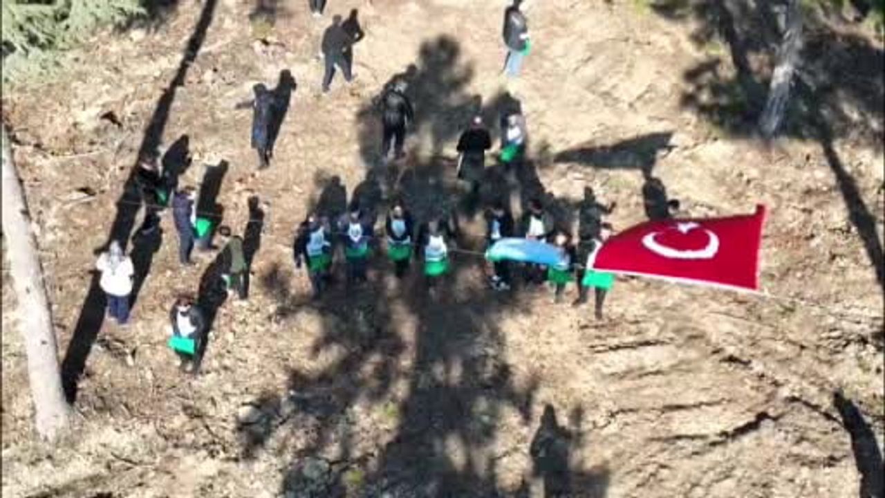 Adana'da doğal gençleştirme: 50 ton sedir tohumu toprakla buluştu