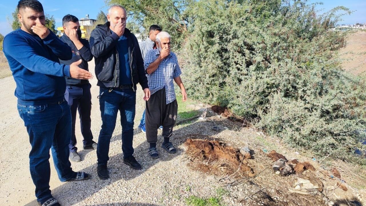 Adana Yüreğir'de dere yatağına at ve eşek kalıntıları atıldı