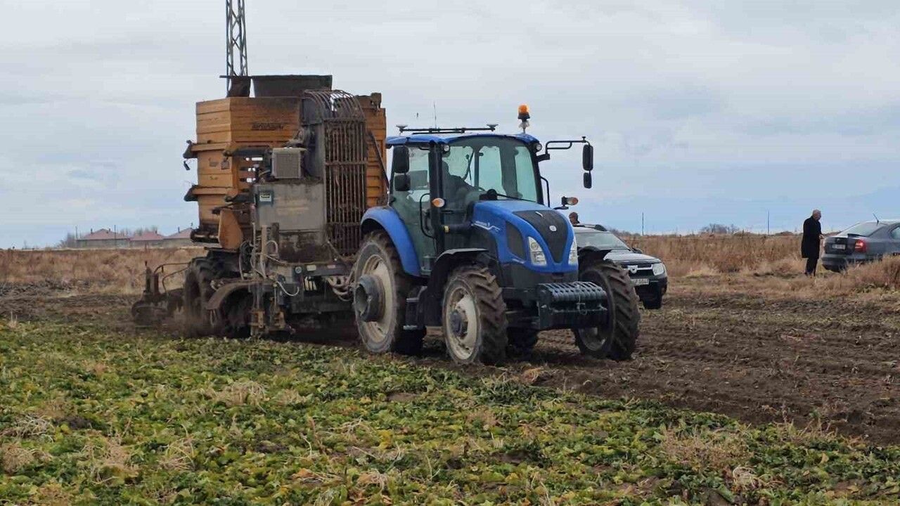 Adilcevaz'da şeker pancarı sökümü hız kazandı