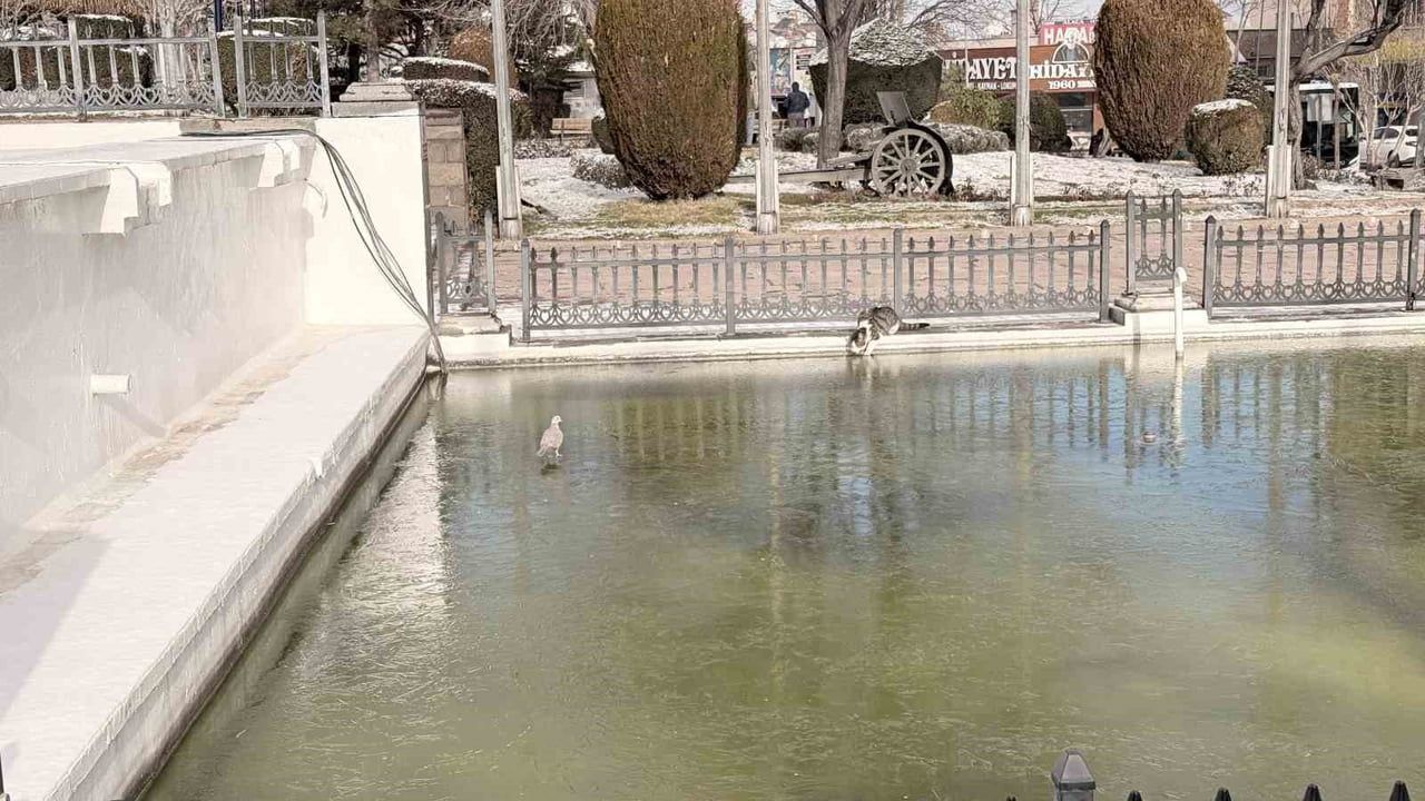 Afyonkarahisar karla kaplandı, sıcaklık eksi 5 dereceye düştü