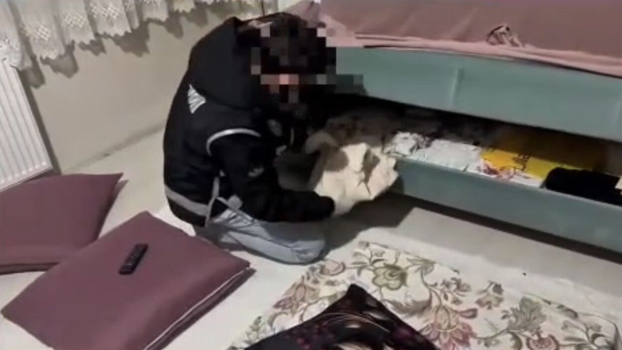 Ağrı’da 1,5 Milyon TL Değerinde Kaçak Telefon ve 4.570 Paket Sigara Ele Geçirildi