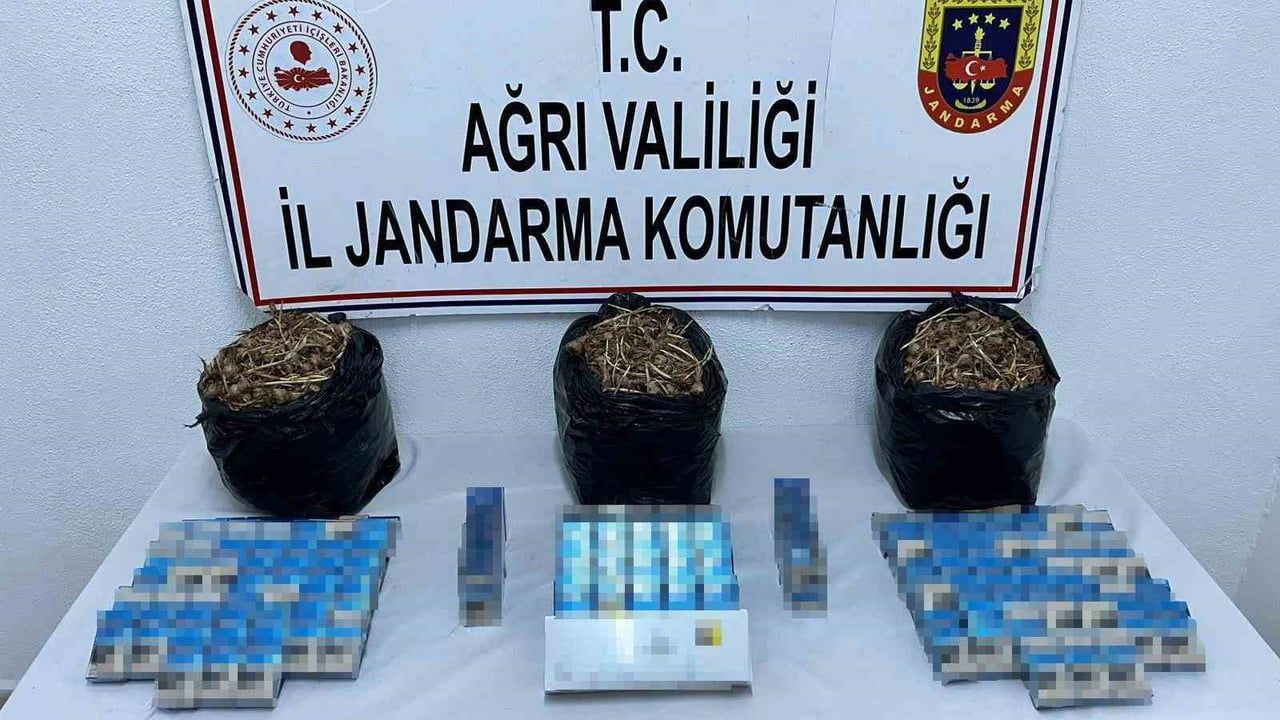 Ağrı'da 840 Paket Kaçak Sigara ve 15 kilogram Safran Tohumu Ele Geçirildi