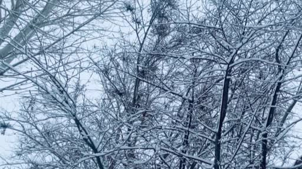 Ağrı'da gece kar yağışı kenti beyaza bürüdü