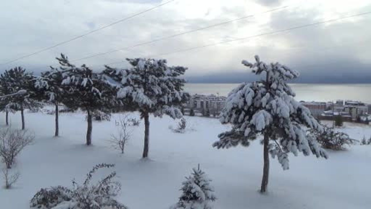 Ahlat'ta yoğun kar: 20 köy yolu ulaşıma kapandı