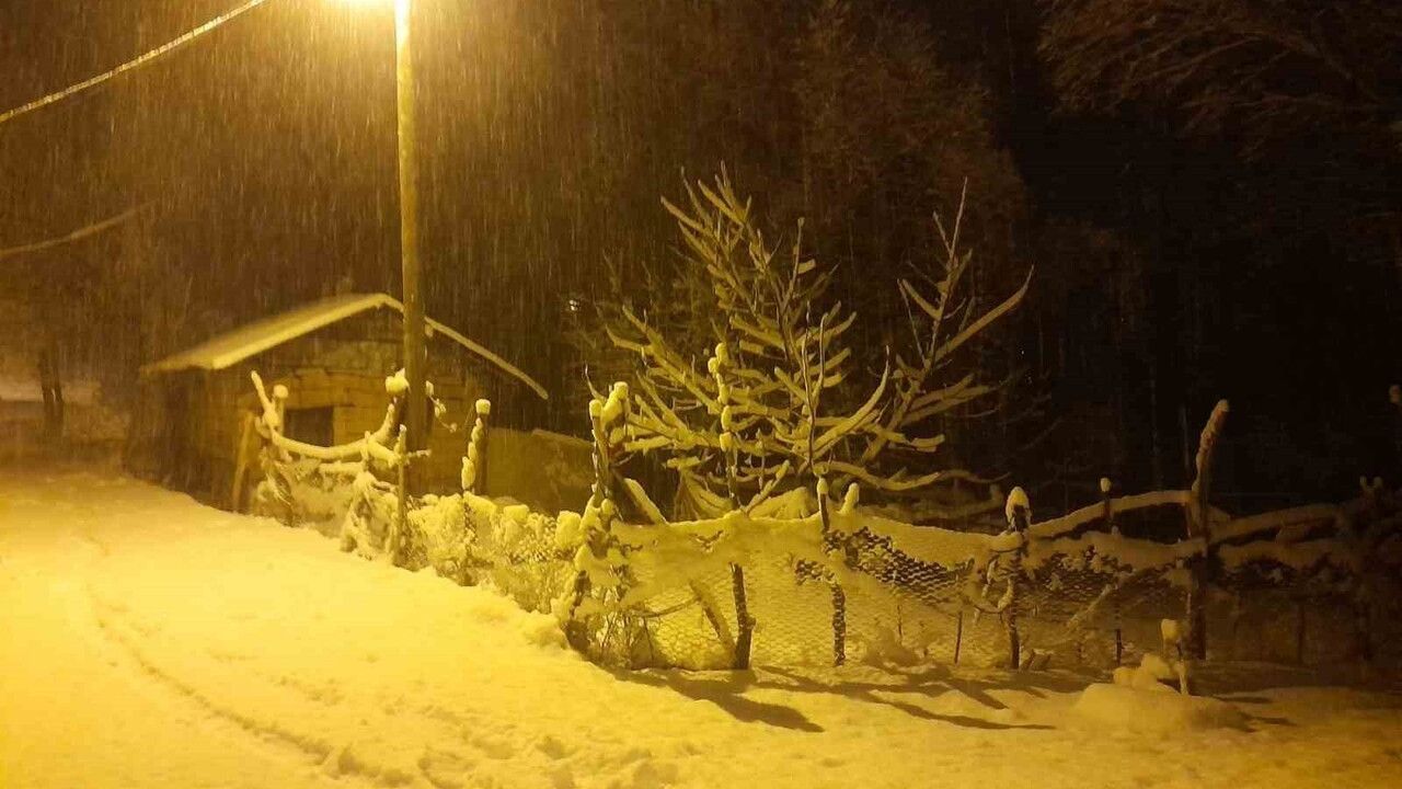 Ahlat'ta yoğun kar yağışı köyleri beyaza bürüdü
