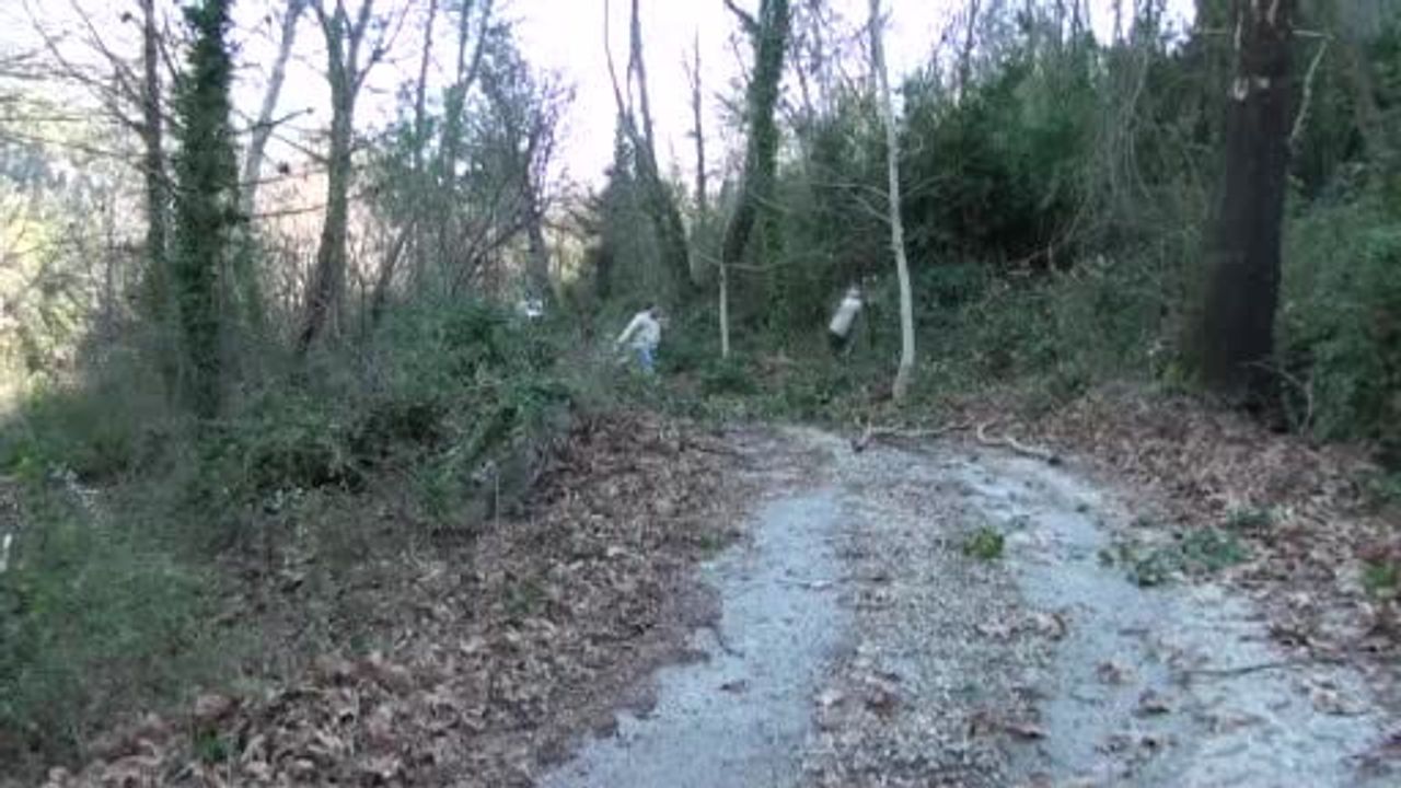 Akseki'nin defne hasadı: Köy meydanından Avrupa pazarına