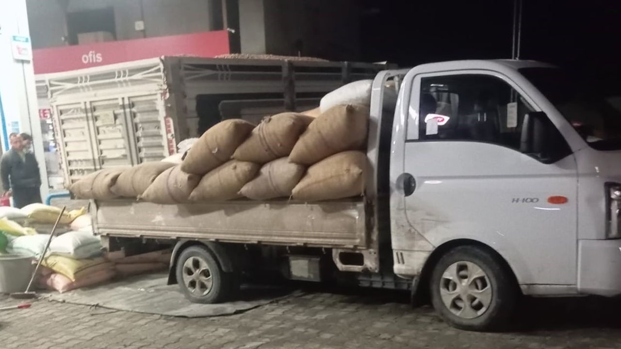 Alaplı'da fındık fiyatları toparlanıyor, 280 TL'ye çıktı