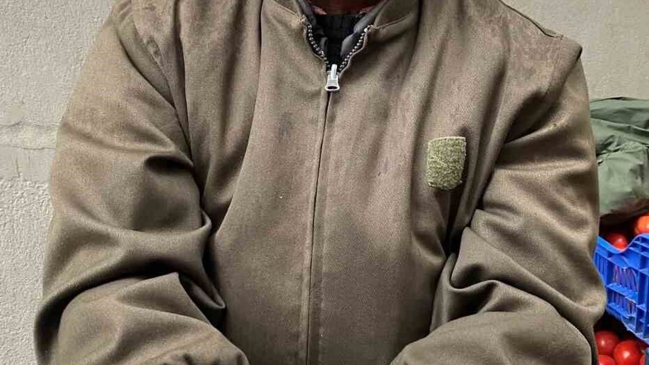 Alaşehir'de iğde ağaçlarının sayısı hızla azalıyor