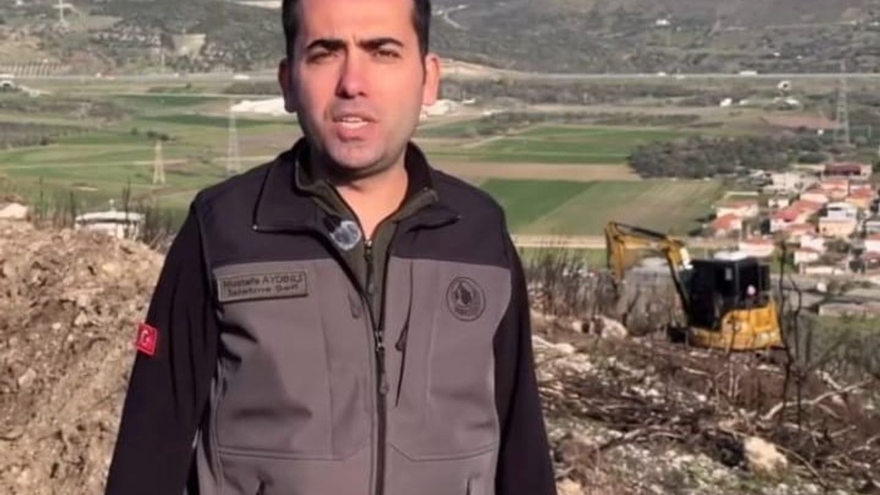 Aliağa ve Foça’daki yangın alanları yeniden yeşillendiriliyor