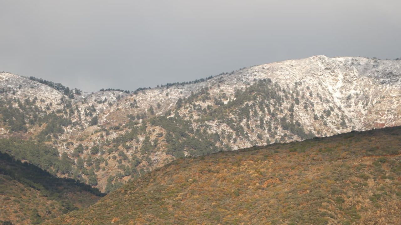 Amanos etekleri beyaza büründü, Hatay merkezde yağmur etkili oldu