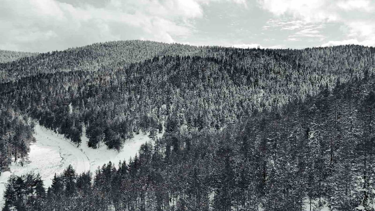 Ankara'nın kuzey yaylaları karla kaplandı