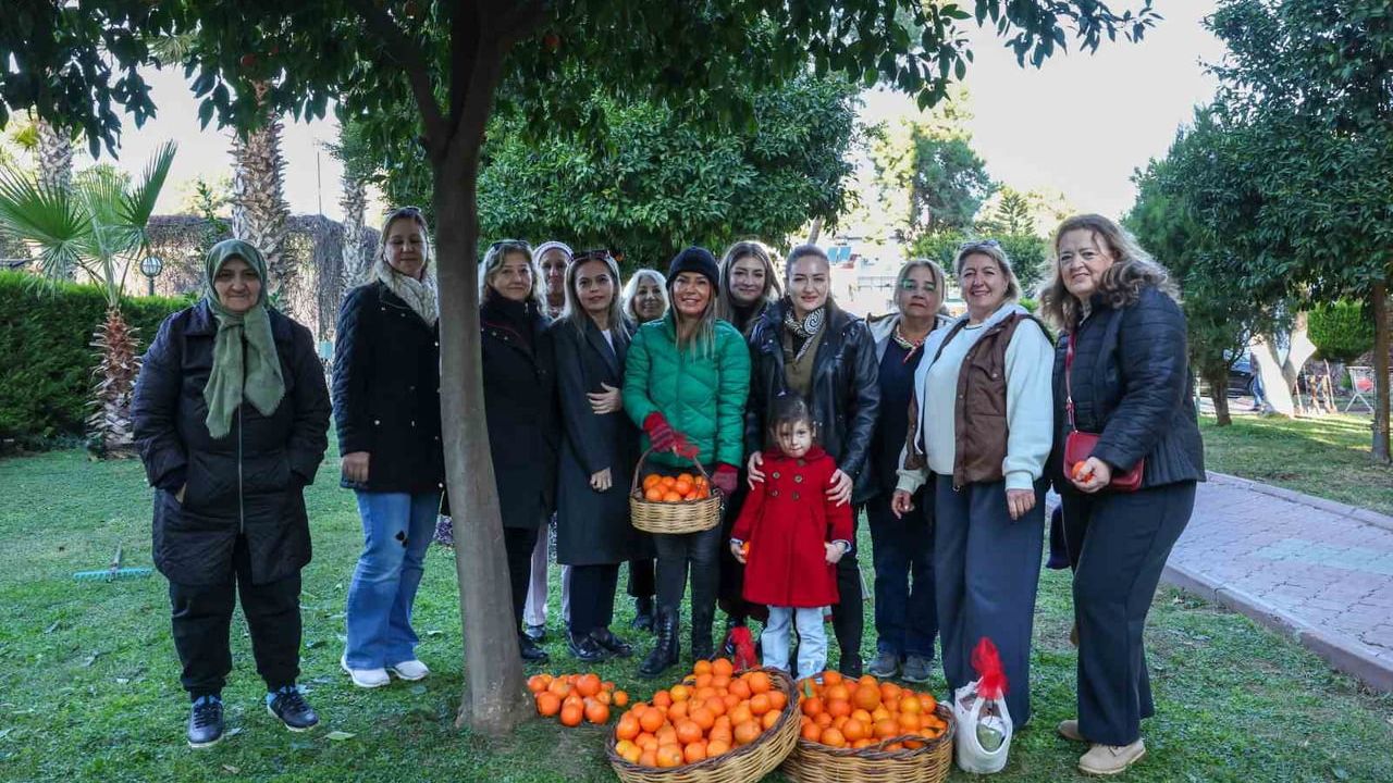 Antalya'nın Turunçları Korkuteli'den Sofralara: Kadın Kooperatifleri Güçleniyor