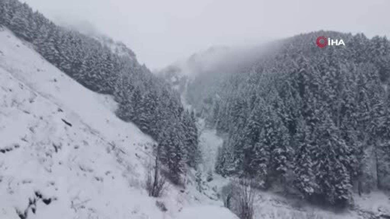 Anzer Yaylası'nda Kar Yağışı Yaylacılara Zor Anlar Yaşattı