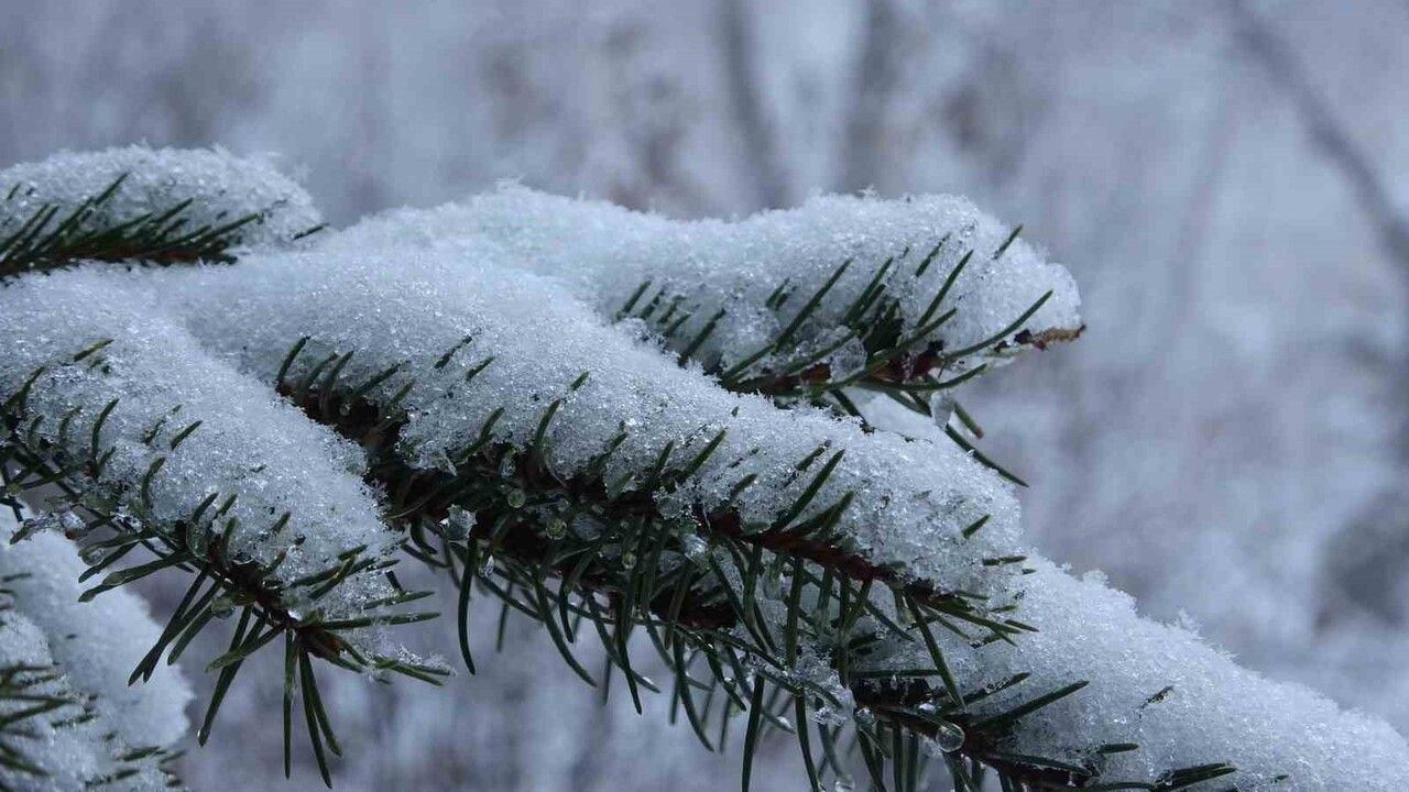 Ardahan beyaza büründü: Kar yağışı kentte kartpostallık görüntüler oluşturdu
