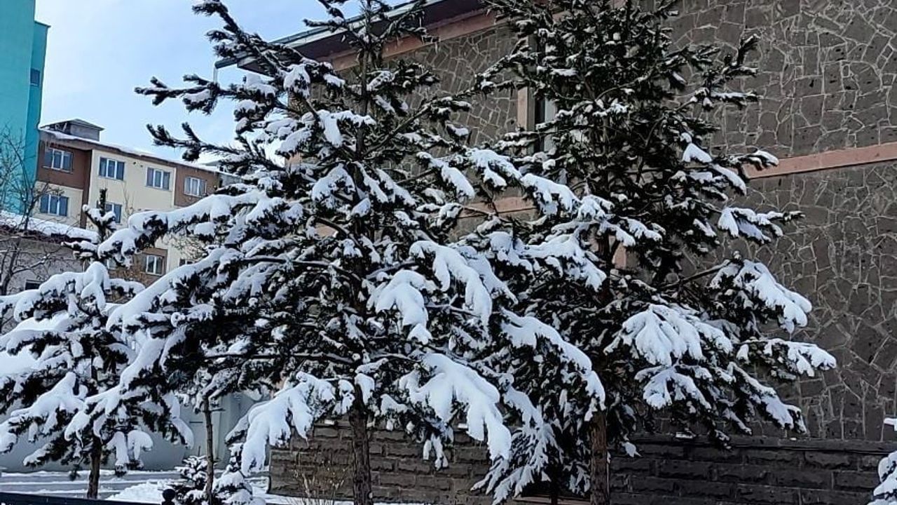 Ardahan'da kar sonrası ağaçlarda kartpostallık görüntüler