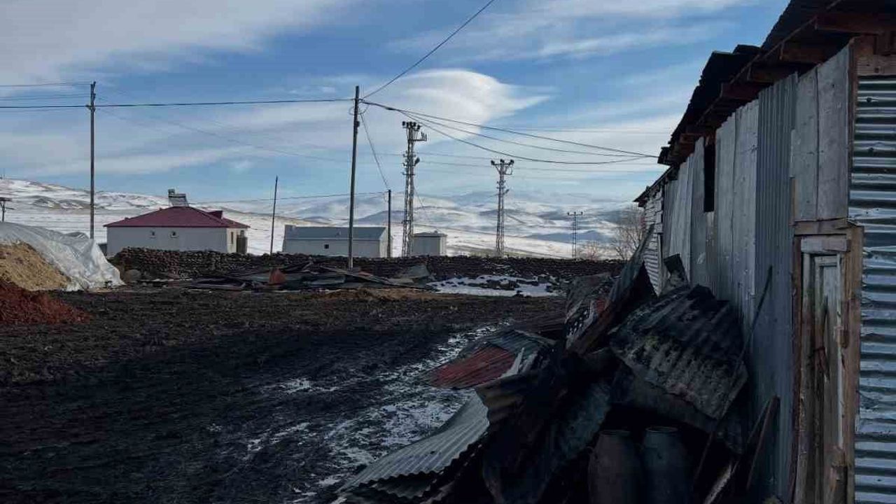 Ardahan Ortakent'te ambar yangını: 1 traktör, 2 bin balya ve 10 ton tahıl yandı