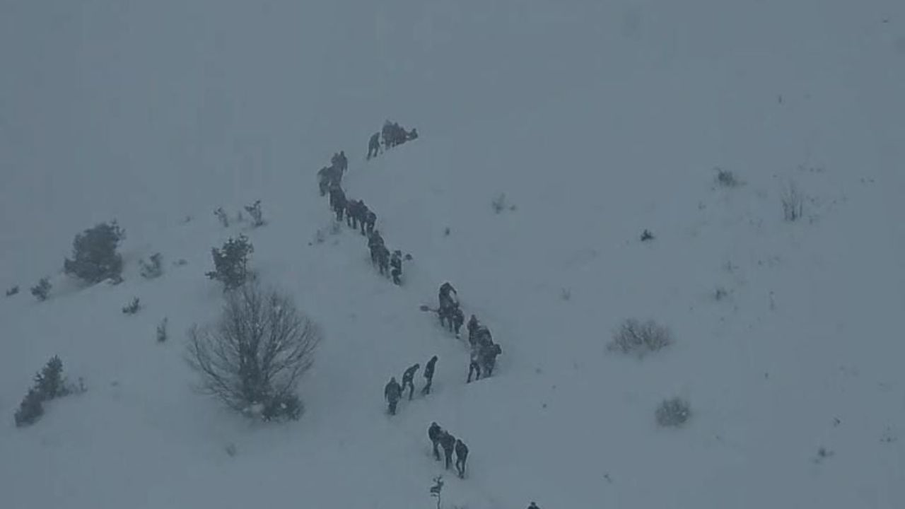 Ardanuç'ta Aksu Yaylası'nda çığ: 3 çoban sürüleriyle gömüldü
