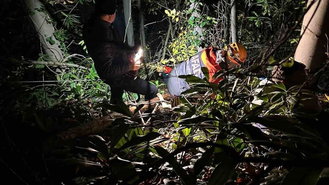 Arifiye’de orman işçisi düşüş sonrası ekip müdahalesiyle kurtarıldı