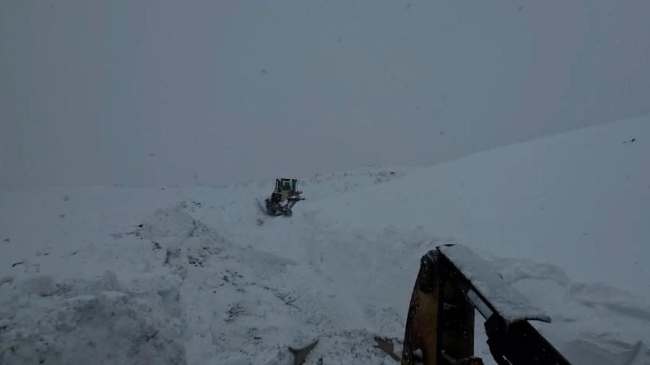 Artvin Aksu Yaylası'nda çığ iddiası: 3 çobanın altında kaldığı bildirildi